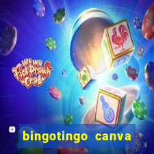 bingotingo canva pro gratis